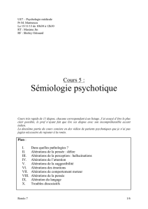 Sémiologie psychotique - L3 Bichat 2013-2014