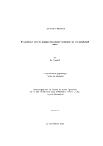 Nandlall_Ian_2012_memoire - Papyrus : Université de Montréal