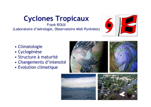 Cyclones Tropicaux