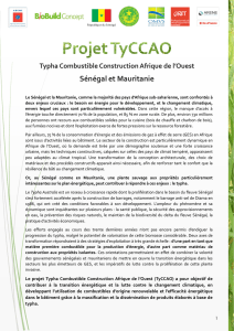 Projet TyCCAO Typha Combustible Construction
