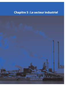 Chapitre 5 : Le secteur industriel