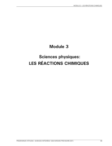 (06_Module 3 - Les r\351actions chimiques.indd)