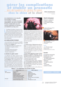 25_26 Lux globe - LE NOUVEAU PRATICIEN vétérinaire canine