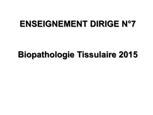 ED n7 DFGSM3 Purpan Biopath Tiss 2015 Pr LAMANT
