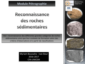 Reconnaissance-des-roches-sedimentaires_bm_1-a-4