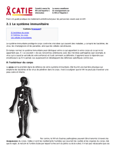2.1 Le système immunitaire