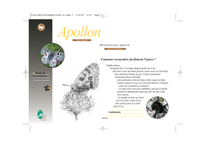 Apollon - Parc naturel régional du Haut-Jura