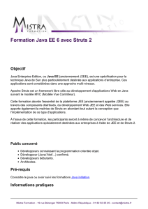Formation Java EE 6 avec Struts 2 - Mistra