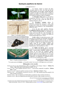 Liseron-et papillons - Société Entomologique de Mulhouse