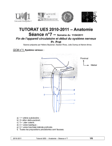 TUTORAT UE5 2010-2011 – Anatomie