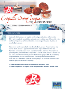 Coquille-St-Jacques - Normandie Fraicheur Mer