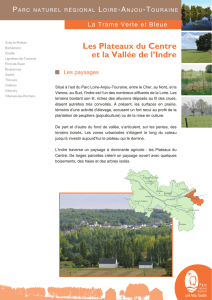 Plateau du Centre - Parc Loire Anjou Touraine