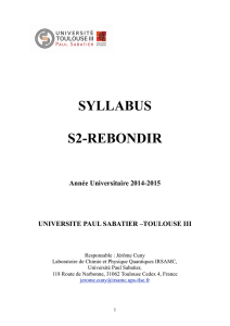syllabus s2-rebondir - Université Paul Sabatier