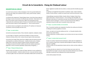 Circuit de la Canarderie - Etang de Chabaud Latour