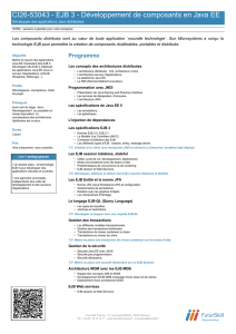 CI26-53043 - EJB 3 - Développement de composants en Java EE