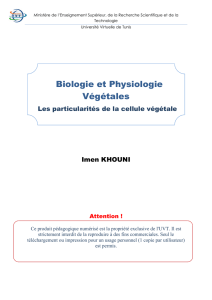 Biologie et Physiologie Végétales