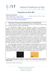 Proposition de thèse 2011 - Institut des NanoSciences de Paris