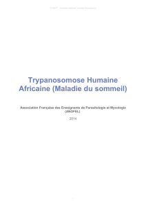 Trypanosomose Humaine Africaine (Maladie du sommeil)