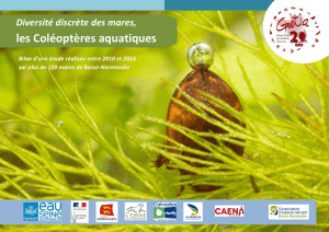 Brochure sur les coléoptères aquatiques des mares de