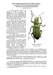 Lire l`article - Société Entomologique de Mulhouse