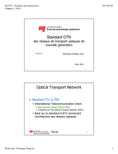Standard OTN Optical Transport Network