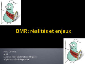 2-BMR_epidemiologie