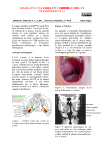Access to Parapharyngeal Space - Vula