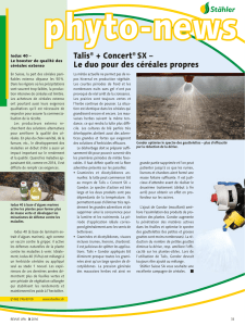 Talis® + Concert® SX – Le duo pour des céréales propres