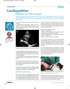 Chat Cardiopathies