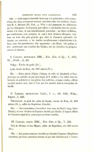DC, Proie, IÍ, 50. Vulgo : Yerba de pollo (Tr.). Repert., I, 546.