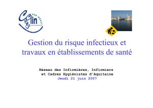Gestion du risque infectieux et travaux en ES. CClin