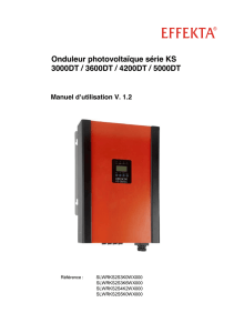 Onduleur photovoltaïque série KS 3000DT / 3600DT / 4200DT