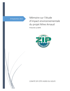Mémoire sur l`étude d`impact environnementale du projet Mine Arnaud
