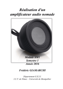 Réalisation d`un amplificateur audio nomade