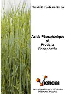 Brochure Acide phosphorique et produits phosphatés
