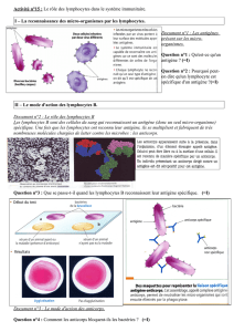 Activité n°15 : Le rôle des lymphocytes dans le système immunitaire. I