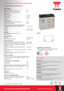 Yuasa NP17-12I Industrial VRLA Battery