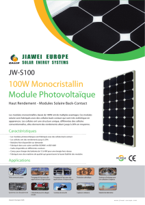100W Monocristallin Module Photovoltaïque