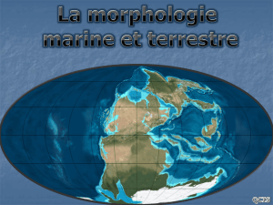 La morphologie marine et terrestre