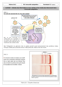 Thème 3A 2 TD1 immunité adaptative Terminale S 2 HIMMICH