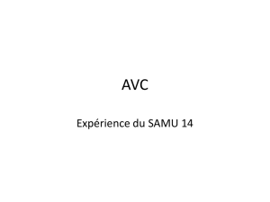 Expérience du SAMU 14