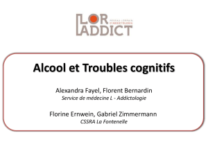 presentation formationtroubles cognitifs alcool - niveau 1