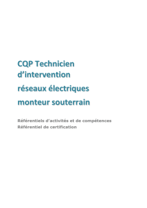 CQP Technicien d`intervention réseaux électriques