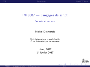INF8007 — Langages de script