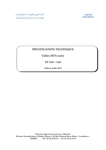 SPECIFICATION TECHNIQUE Câbles HTA isolés ST C65 – L65