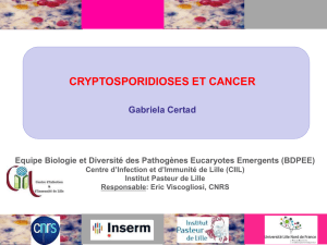 Cryptosporidioses et cancer