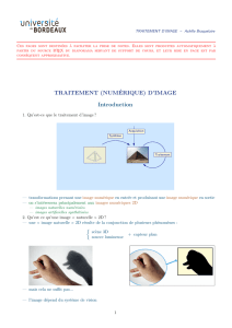 TRAITEMENT (NUMÉRIQUE) D`IMAGE Introduction