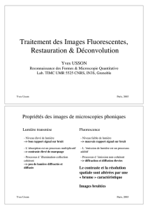 Traitement des Images Fluorescentes, Restauration - TIMC-IMAG