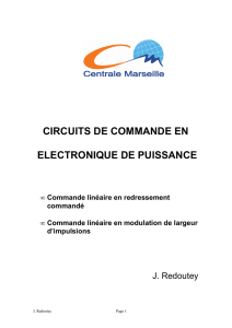 CIRCUITS DE COMMANDE EN ELECTRONIQUE DE PUISSANCE