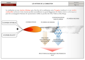 la combustion - leguideits.fr
